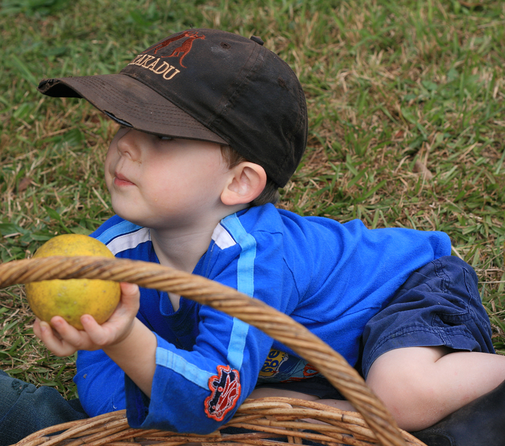 Kakadu Ball Cap